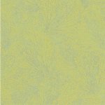 Marburg Origin 31388