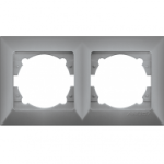 Двухместная рамка металл